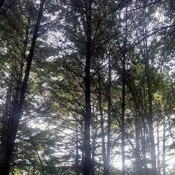 W.E.B. Du Bois Boyhood Homesite - Great Barrington