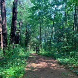 W.E.B. Du Bois Boyhood Homesite - Great Barrington