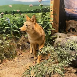 Great Falls Discovery Center - Greenfield