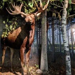 Great Falls Discovery Center - Greenfield