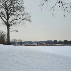 Greenfield Community College Arboretum - Greenfield