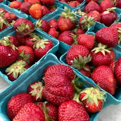 Greenfield Farmers Market - Greenfield