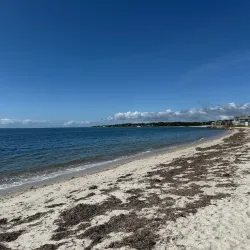 Kalmus Beach - Hyannis