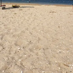 Kalmus Beach - Hyannis