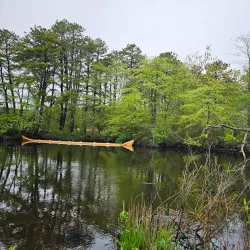 Forge Pond Recreation Area - Kingston