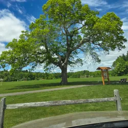 Forge Pond Recreation Area - Kingston