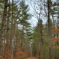 Forge Pond Recreation Area - Kingston