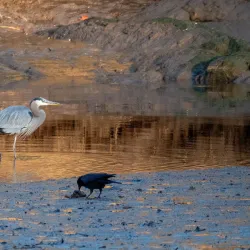Jones River Landing - Kingston