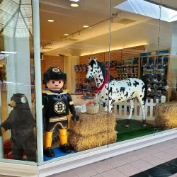 Kingston Collection - Kingston