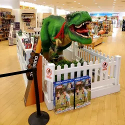 Kingston Collection - Kingston