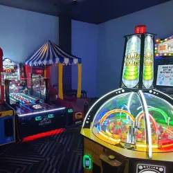 Kingston Collection - Kingston