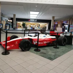 Kingston Collection - Kingston