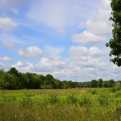 Wapping Road Conservation Area - Kingston