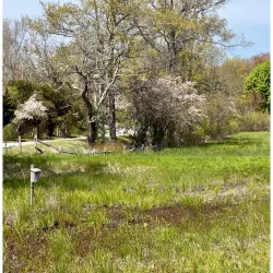 Wapping Road Conservation Area - Kingston