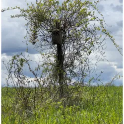 Wapping Road Conservation Area - Kingston