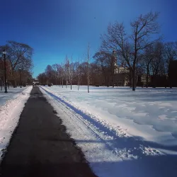 Campagnone Common - Lawrence