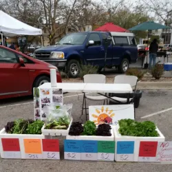 Lawrence Farmers Market - Lawrence