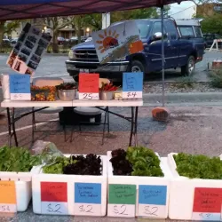 Lawrence Farmers Market - Lawrence