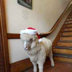 Lawrence History Center at the Immigrant City Archives - Lawrence