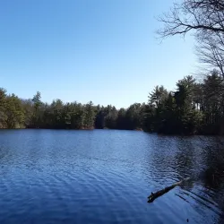 Leominster State Forest - Leominster