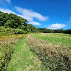 Wachusett Meadow Wildlife Sanctuary - Leominster