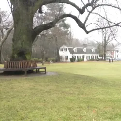 Lexington Historical Society - Lexington