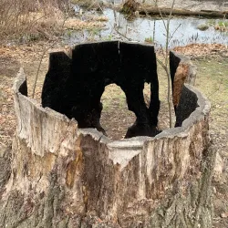 Minuteman Bikeway - Lexington