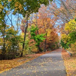 Minuteman Bikeway - Lexington