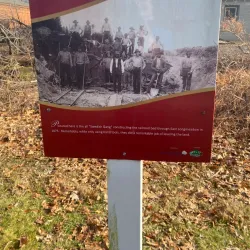 Berkshire Trail - Longmeadow