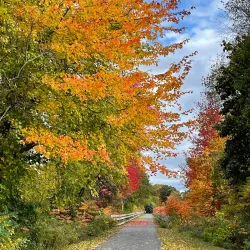 Berkshire Trail - Longmeadow