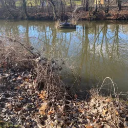 Berkshire Trail - Longmeadow