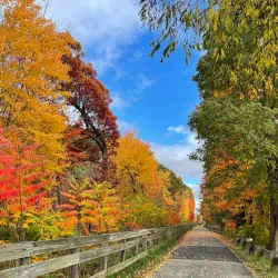 Berkshire Trail - Longmeadow