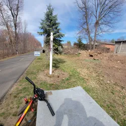 Berkshire Trail - Longmeadow