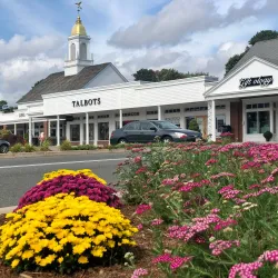 Longmeadow Farmers Market - Longmeadow