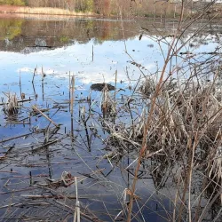 Longmeadow Historic District - Longmeadow