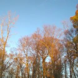 Longmeadow Historic District - Longmeadow