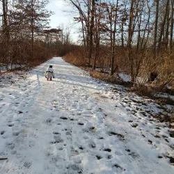 Longmeadow Historic District - Longmeadow