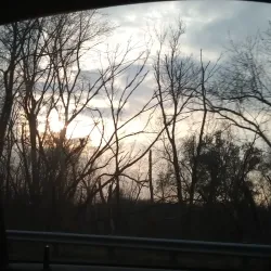 Longmeadow Historic District - Longmeadow