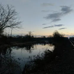 Longmeadow Historic District - Longmeadow