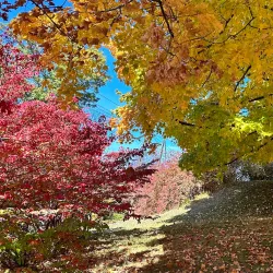 Lowell Cemetery - Lowell