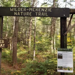 Otter River State Forest - Lunenburg