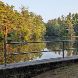 Otter River State Forest - Lunenburg