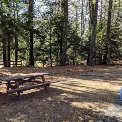 Otter River State Forest - Lunenburg