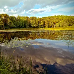 Otter River State Forest - Lunenburg