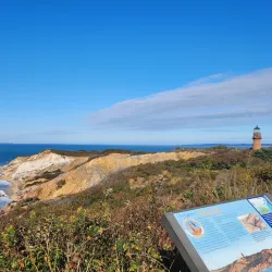 Aquinnah Cliffs - Martha's Vineyard