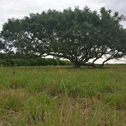 Chilmark Pond - Martha's Vineyard