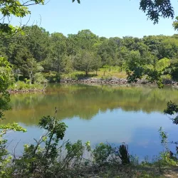 Felix Neck Wildlife Sanctuary - Martha's Vineyard