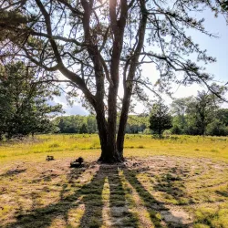 Felix Neck Wildlife Sanctuary - Martha's Vineyard