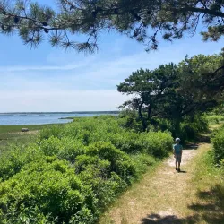 Felix Neck Wildlife Sanctuary - Martha's Vineyard