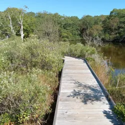 Felix Neck Wildlife Sanctuary - Martha's Vineyard